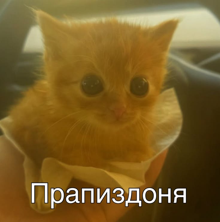 Изображение 1 в публикации