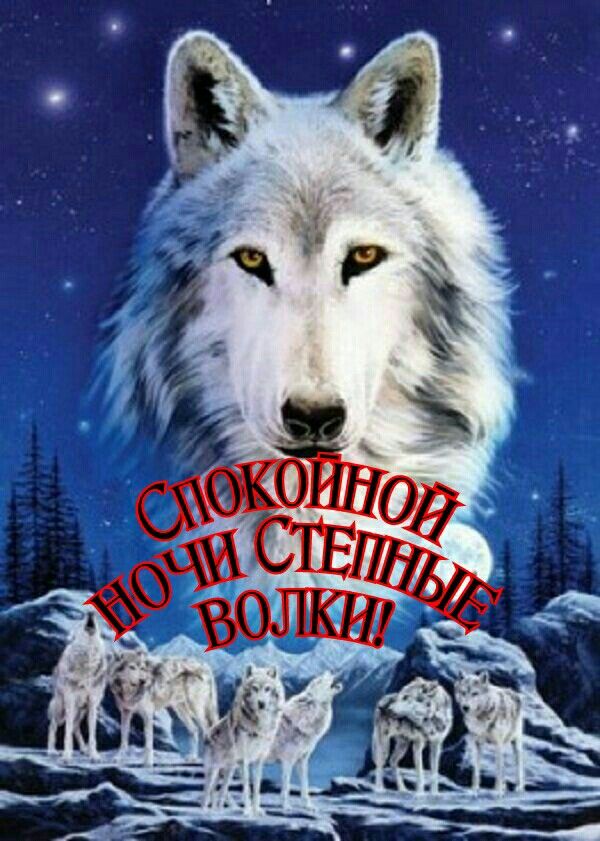 Изображение 1 в публикации