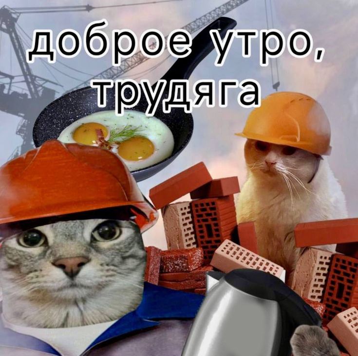 Изображение 1 в публикации